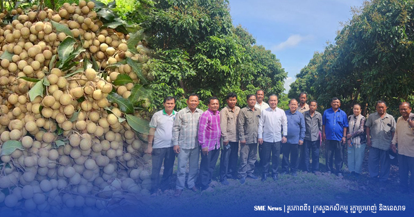 ក្រសួងកសិកម្ម ចុះដោះស្រាយបញ្ហាប្រឈម និងស្វែងរកទីផ្សារលក់ឱ្យសហគមន៍កសិកម្មផលិតផលមៀនប៉ៃលិន