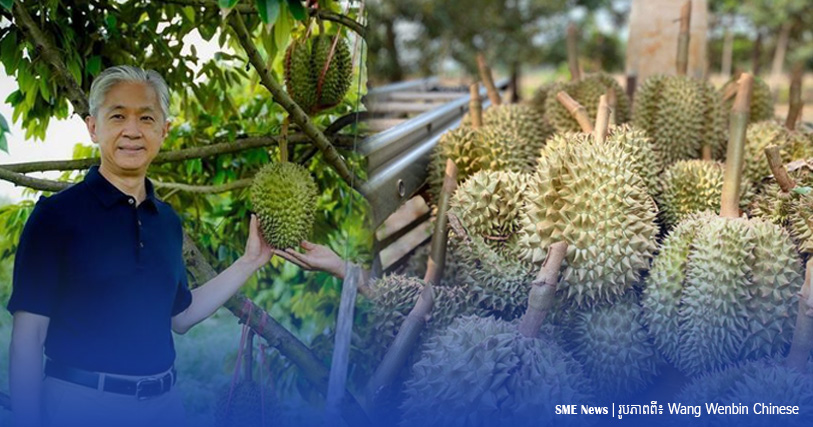 ទូតចិន៖ «ទុរេនស្រស់កម្ពុជា» អាចនាំចេញទៅចិនបានហើយ